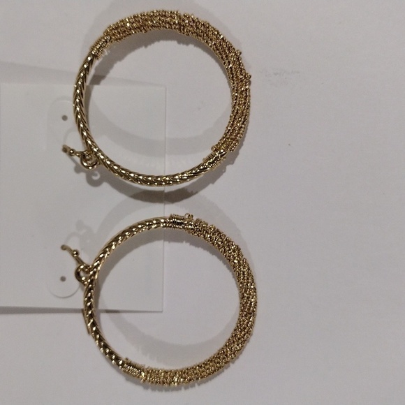 Golden Texture: Elegant Fishhook Hoop Earrings - Braided Mesh Detail Jewelry - Picture 5 of 8